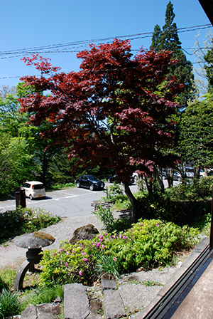 戸隠宝光社宿坊　御宿楠川